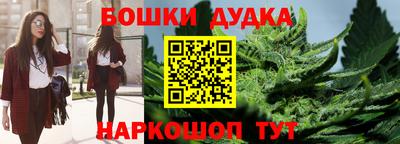 индика Аргун